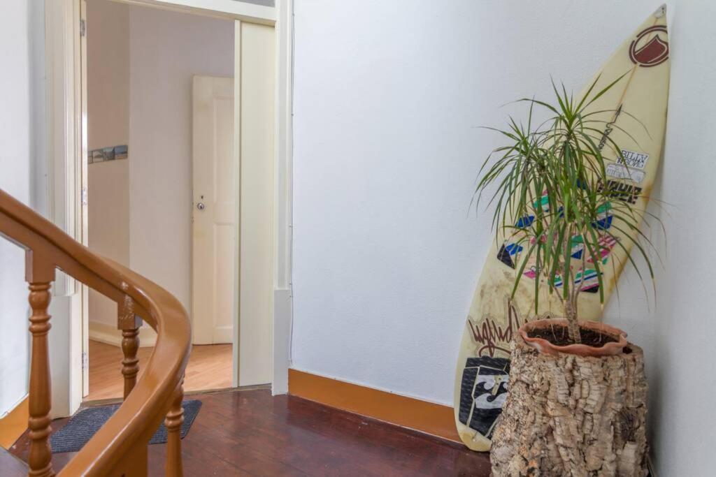 Apartment Cozy At The Center *